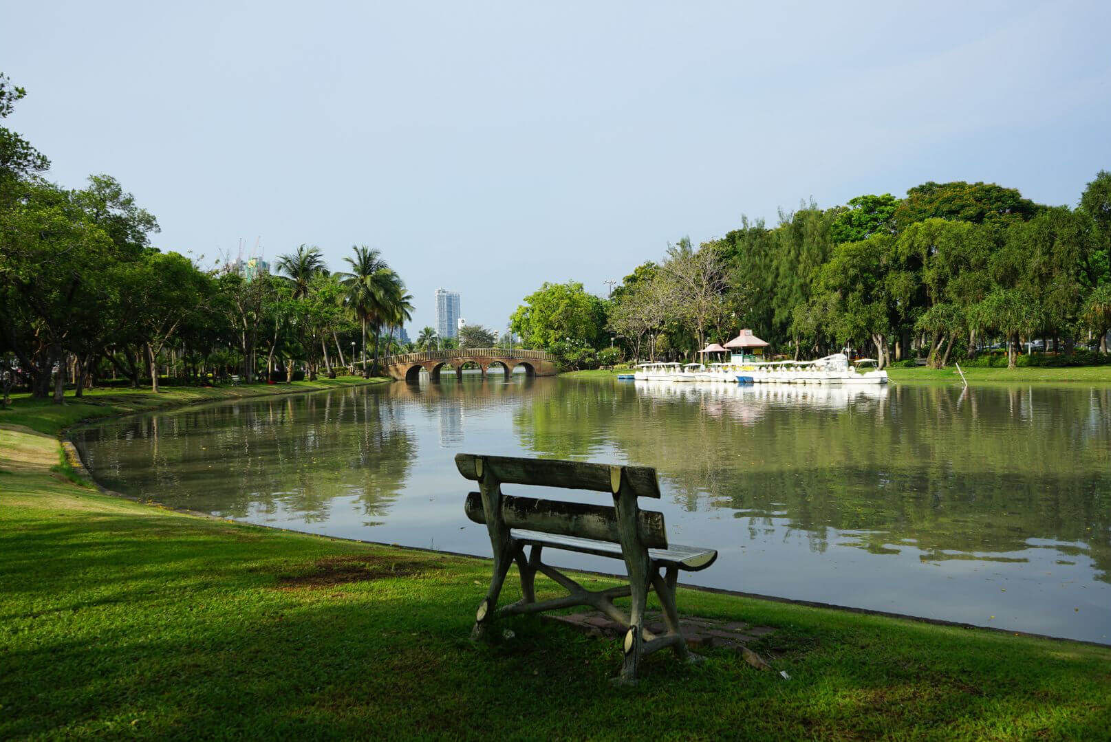 Quiet lake view inside Lumpini Park in Bangkok