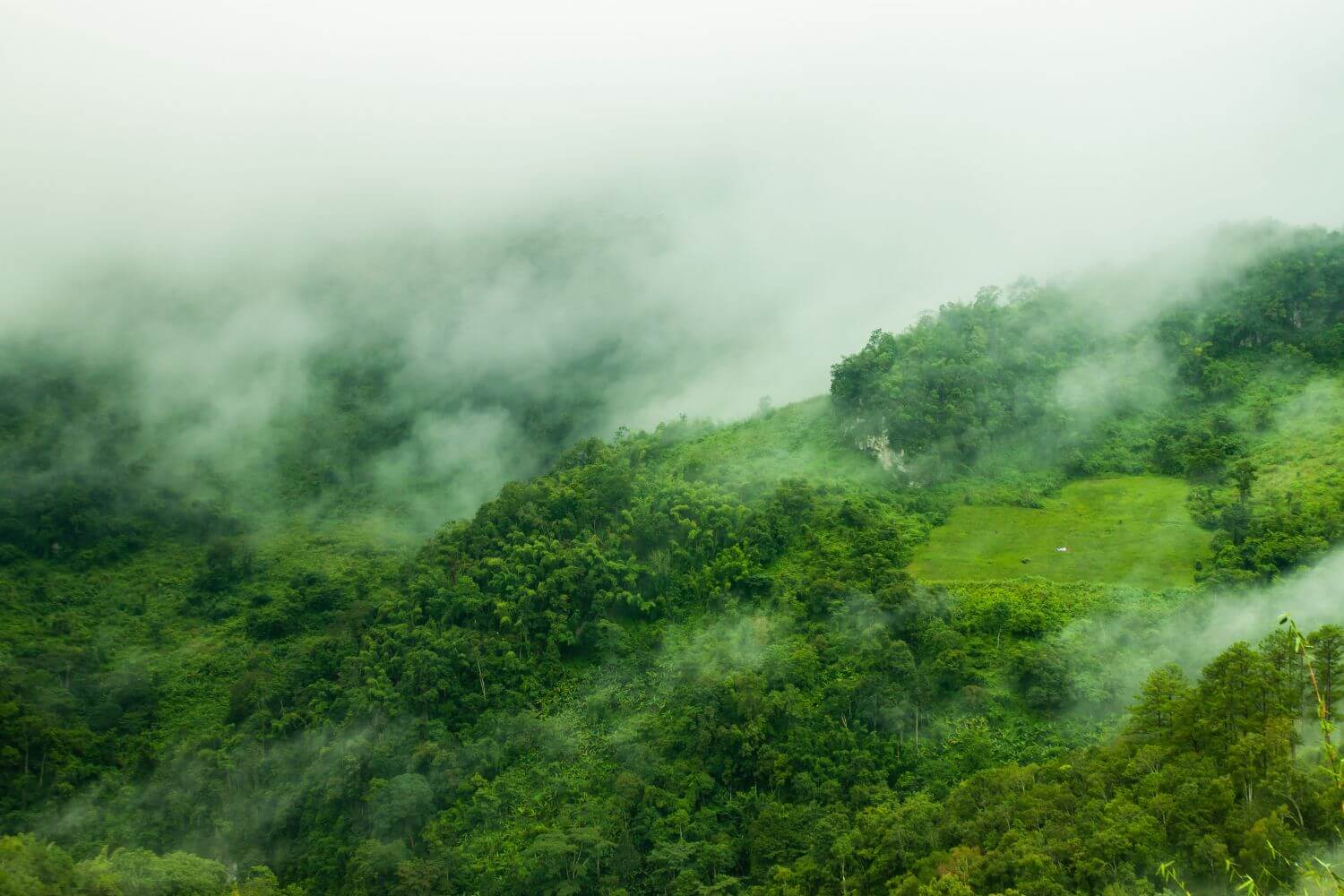Misty cliff and forested ridgeline on Doi Luang Chiang Dao at sunrise