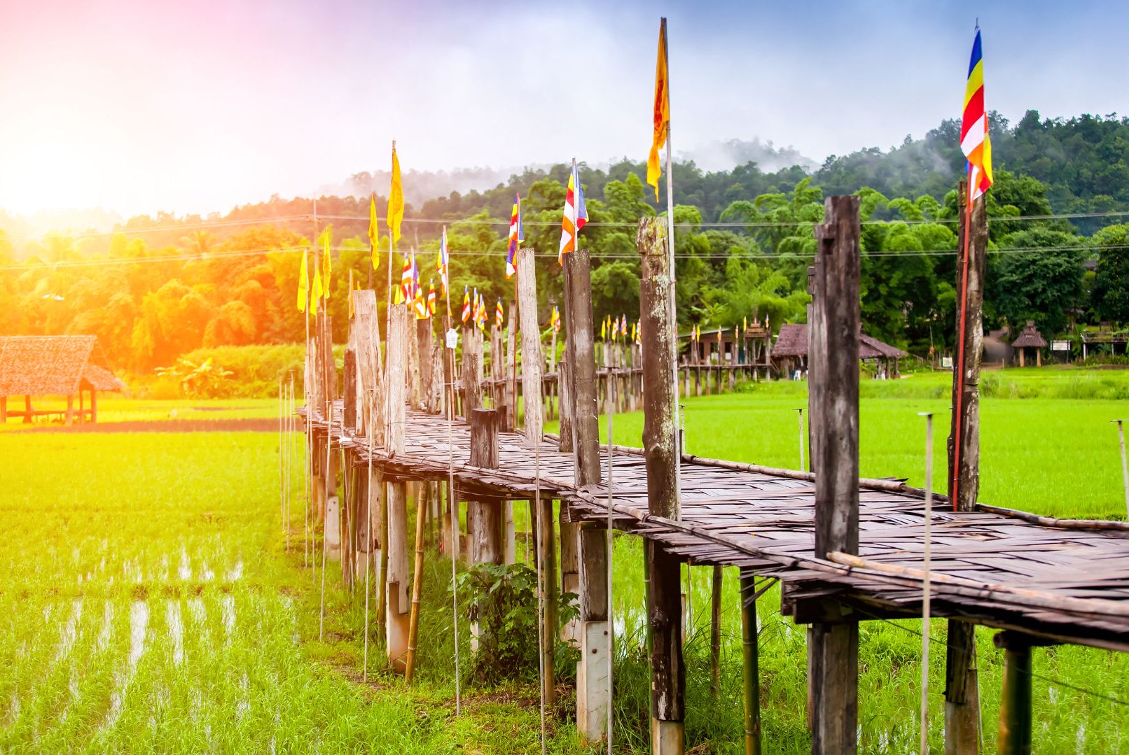 Kho Ku So bamboo bridge over rice fields in Pai