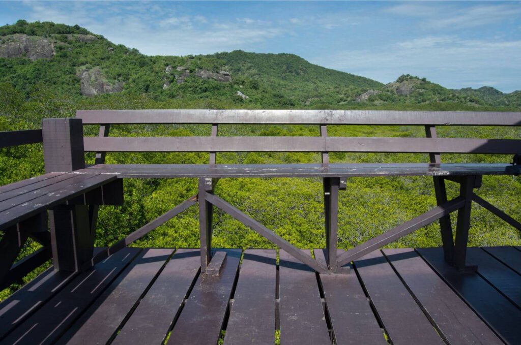 Mangrove forest viewpoint in Pranburi Thailand overlooking waterways and coastal greenery