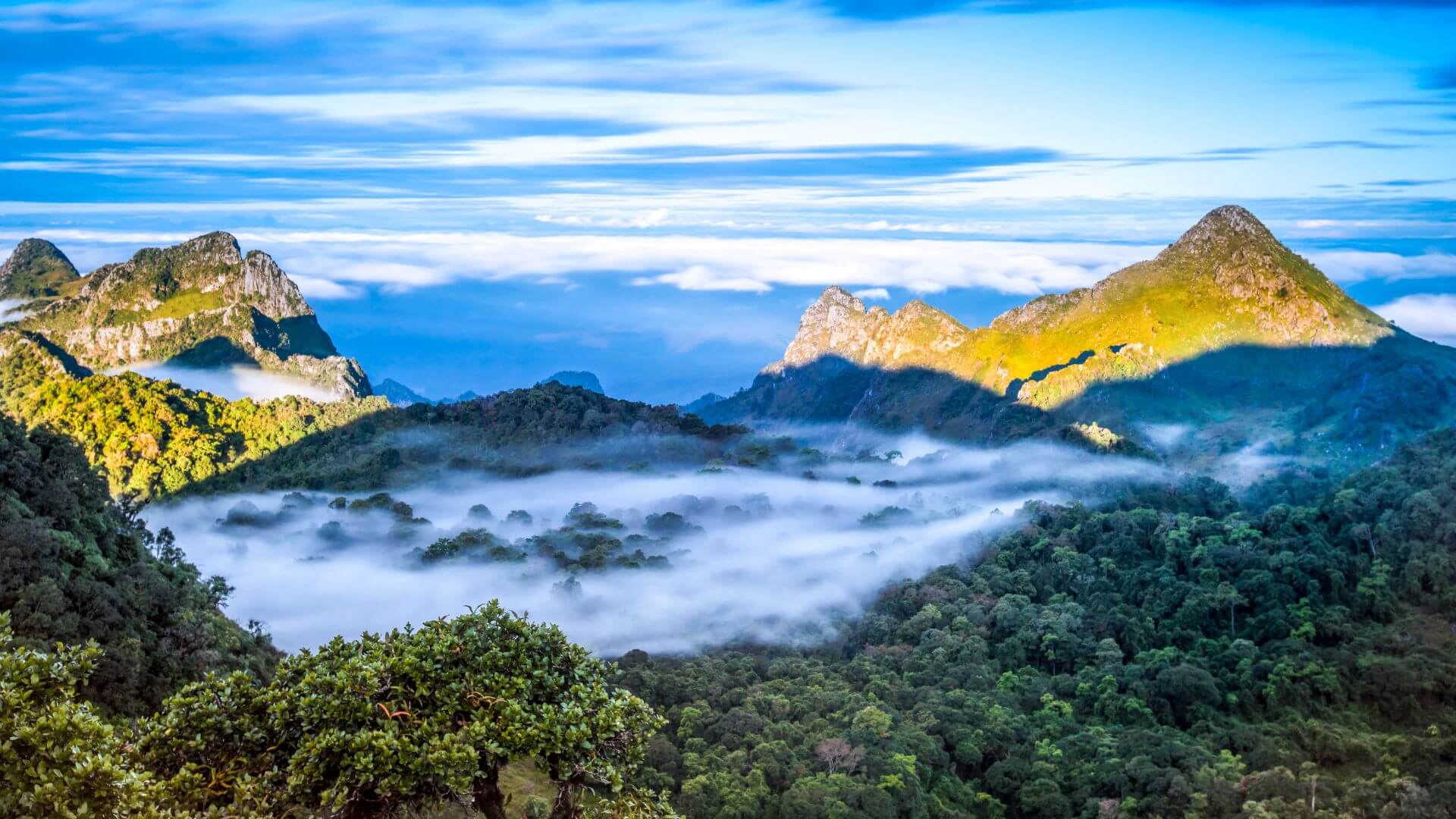 Misty mountains in Northern Thailand