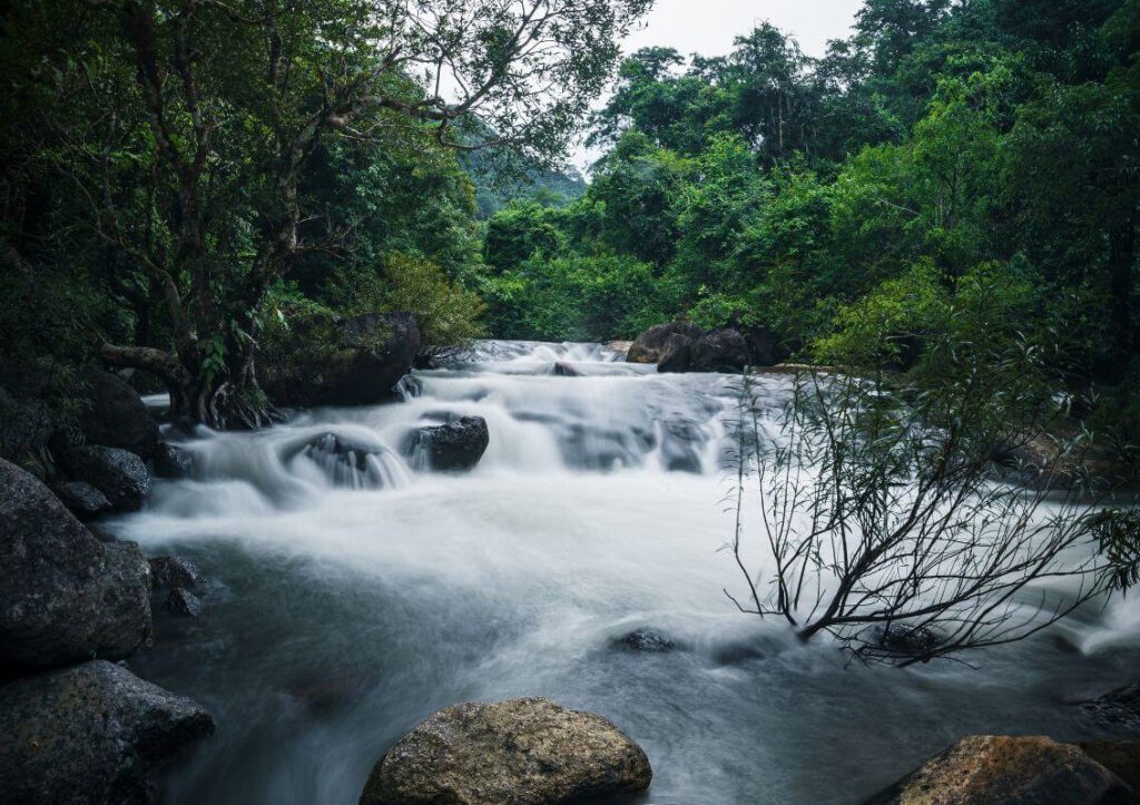 tropical waterfall flowing into a quiet green lagoon surrounded by jungle