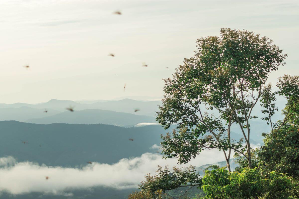 Nan Thailand private tour: dramatic cloudy mountain scenery over Nan province highlands