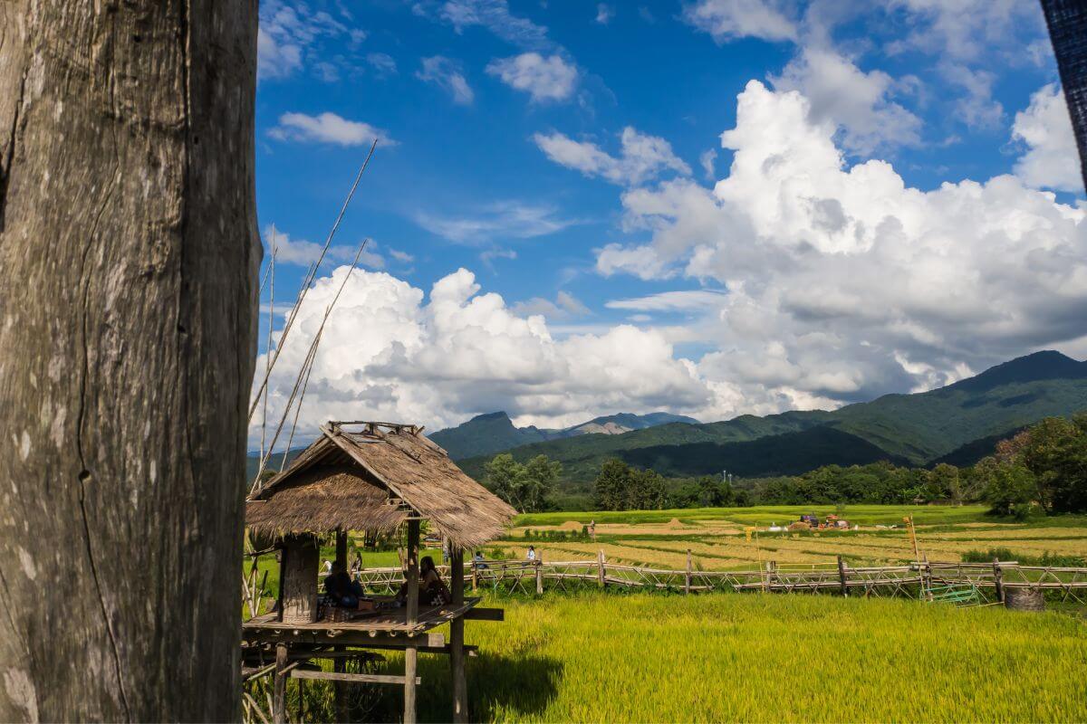Farm in Nan Thailand