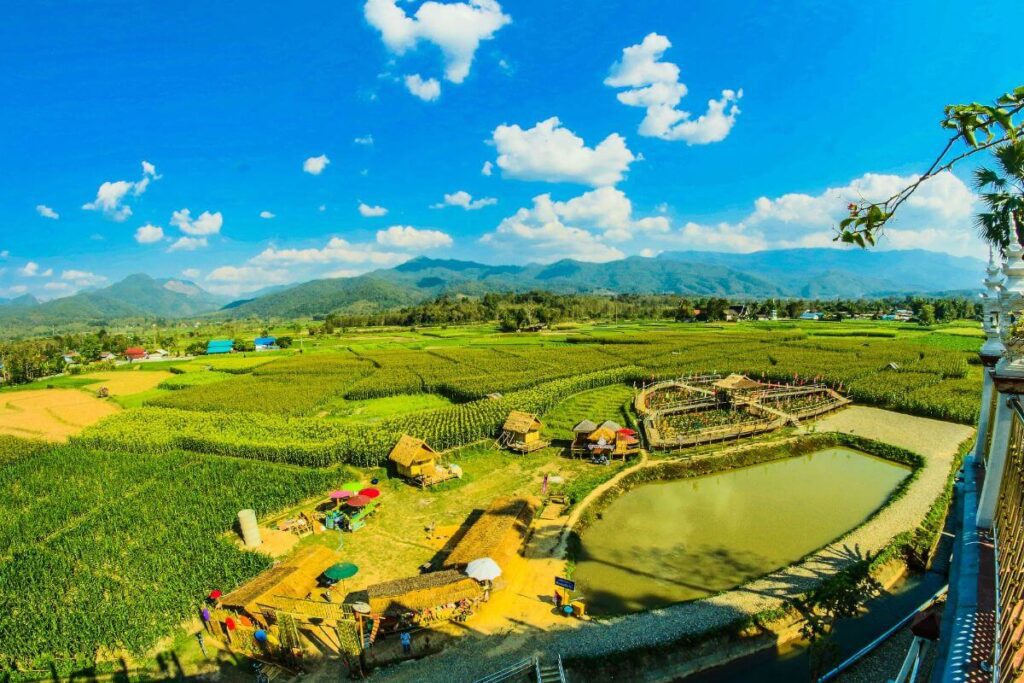 off-path-thailand-nan-thailand-fields Nan Thailand Rice fields