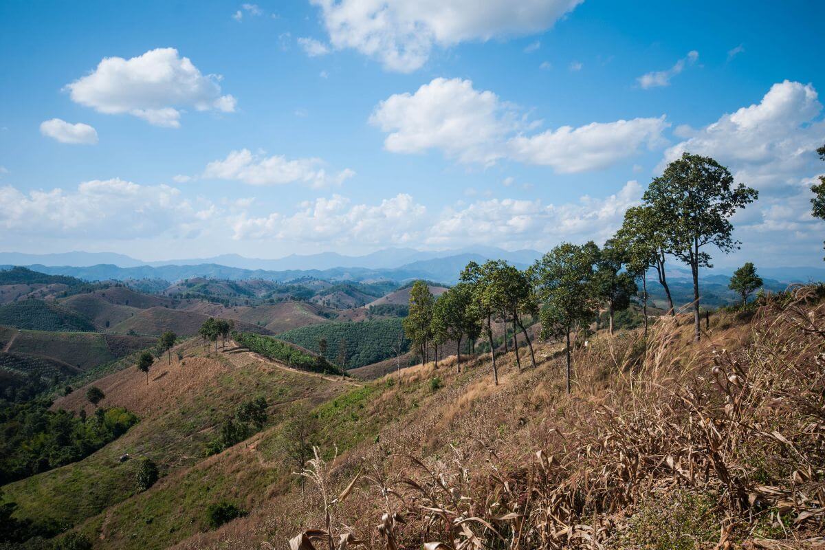 Northern Thailand private tour: rolling green hills and valleys of Nan Province