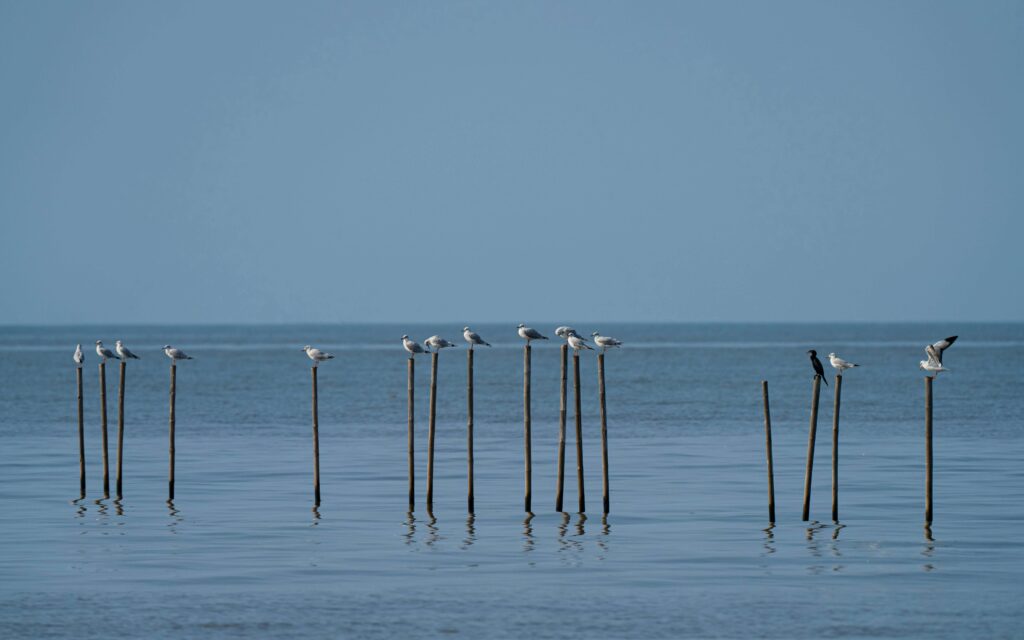 Off the beaten path Bangkok: Bang Pu coastal recreation area