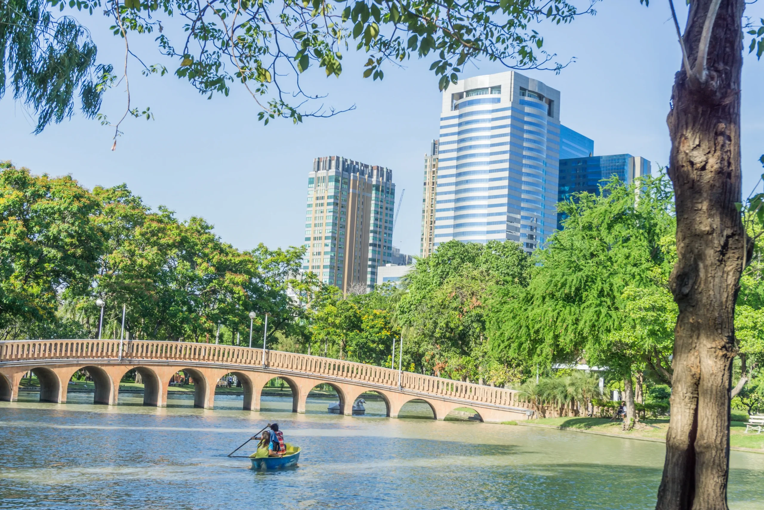 Chatuchak Park in Bangkok with shaded paths and greenery