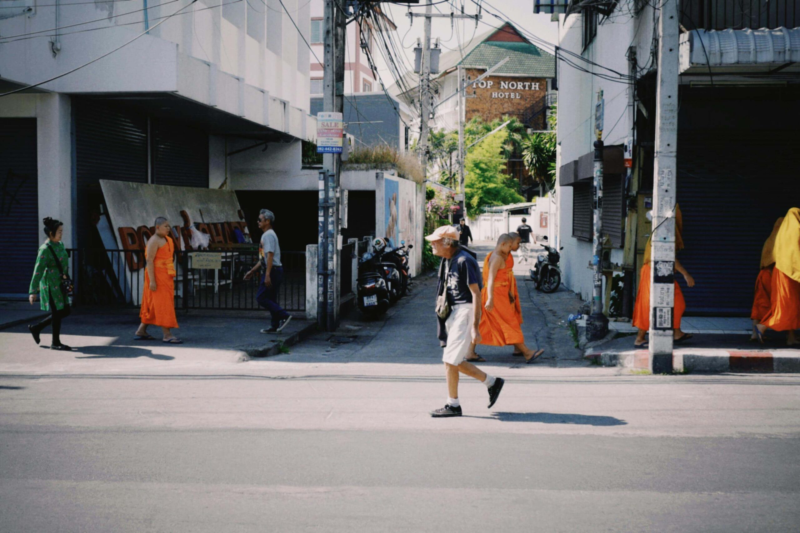 Calm Chiang Mai street scene representing the start of a personal vegan journey in Thailand
