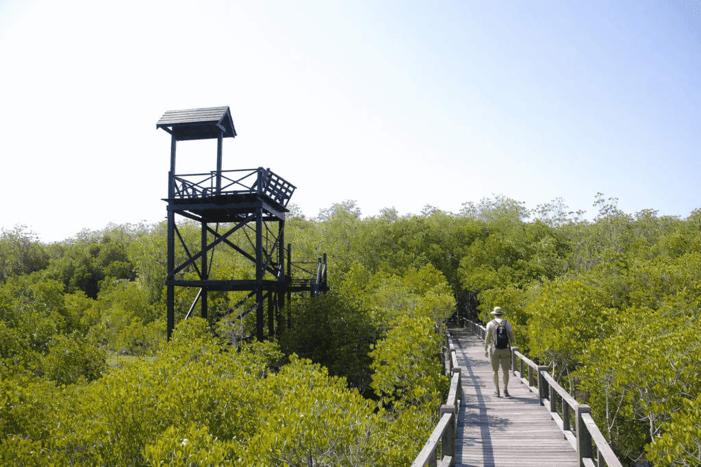 Off Path Thailand Pranburi Forest Park Sustainable Holiday