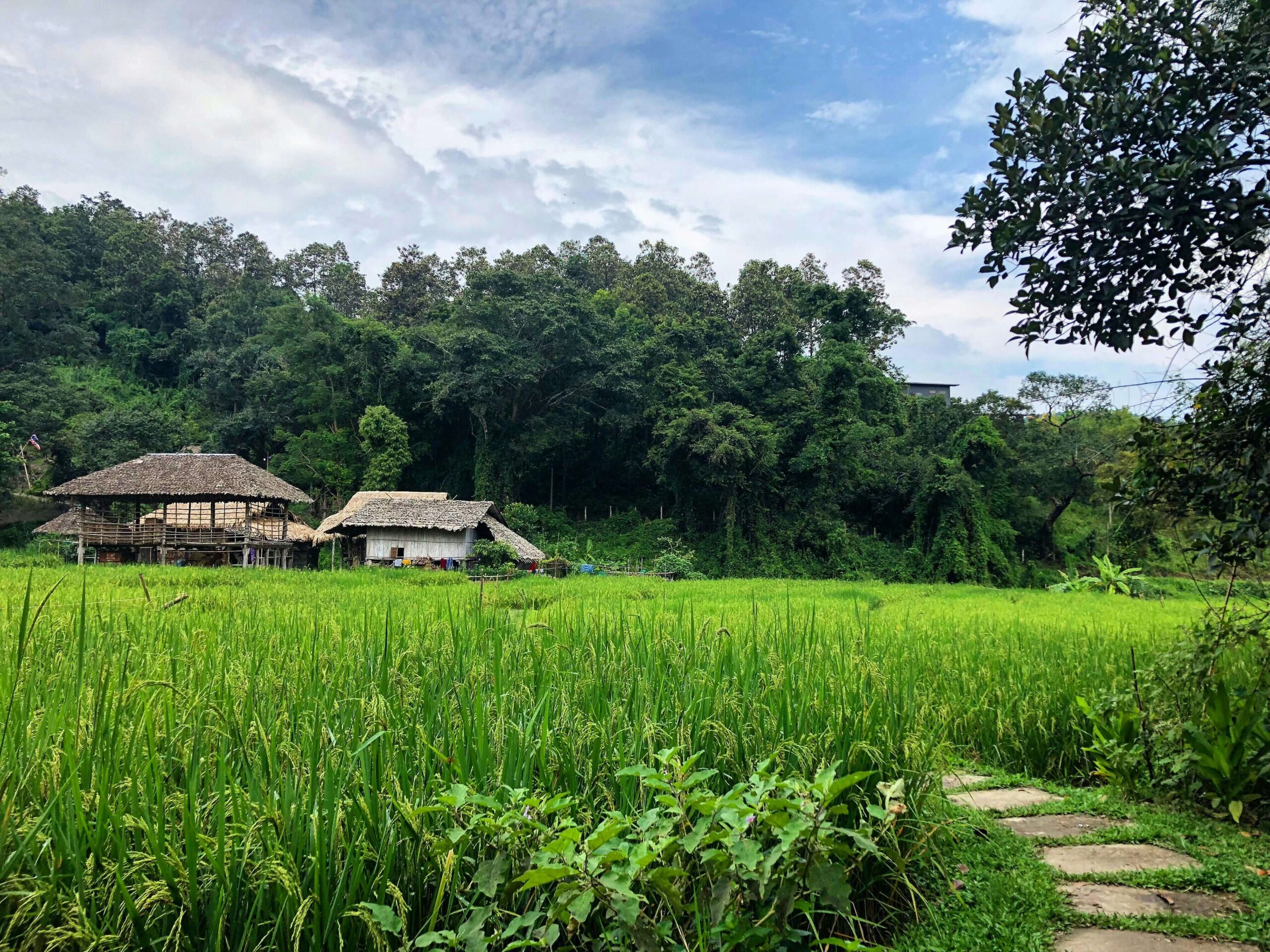 Off Path Thailand Northern Thailand Chiang Mai Mae Rim